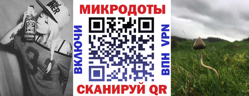 Галлюциногенные грибы мицелий  купить  цена  Спас-Деменск 